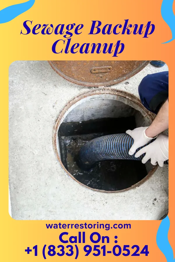 Sewage Backup Cleanup in Comanche, TX