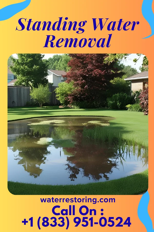Standing Water Removal in Comanche, TX